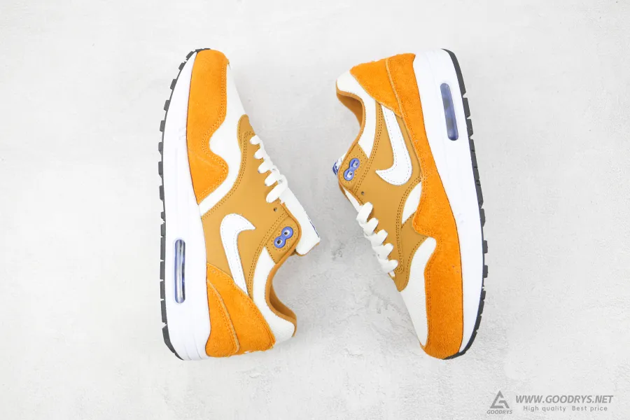 Atmos Nike Air Max 1 Curry