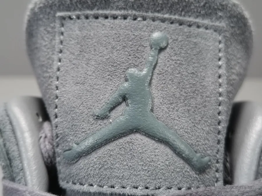 Air Jordan 4 Retro Kaws Cool Grey