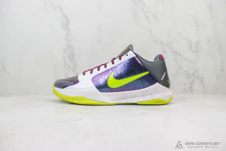 Zoom Kobe 5 Protro Chaos 