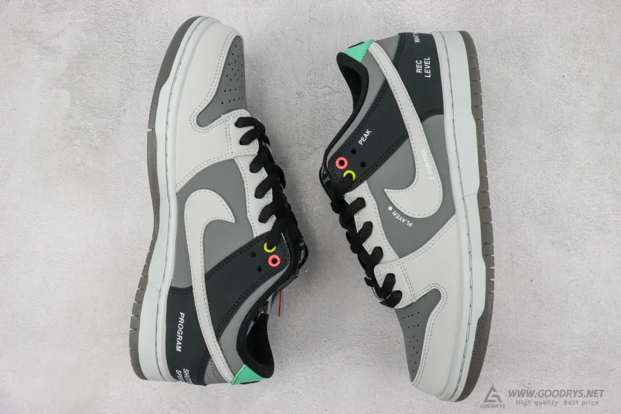 Sb Dunk Low Camcorder