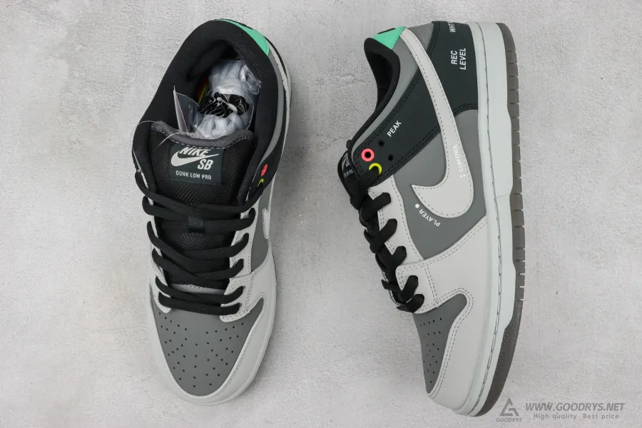 Sb Dunk Low Camcorder