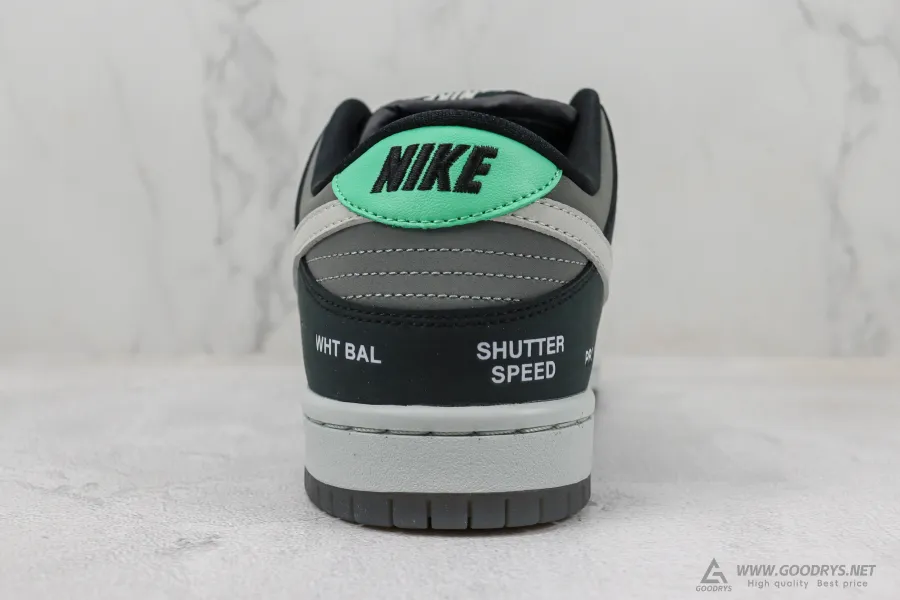 Sb Dunk Low Camcorder