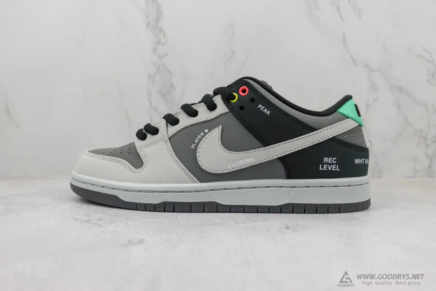 Sb Dunk Low Camcorder