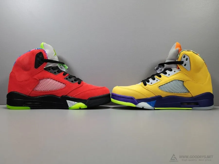 Air Jordan 5 What The