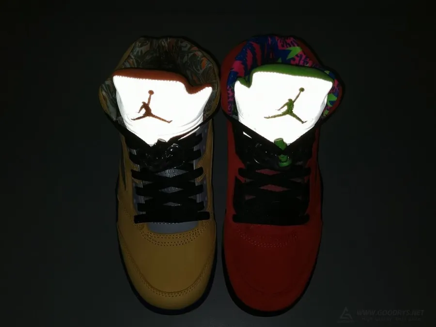 Air Jordan 5 What The