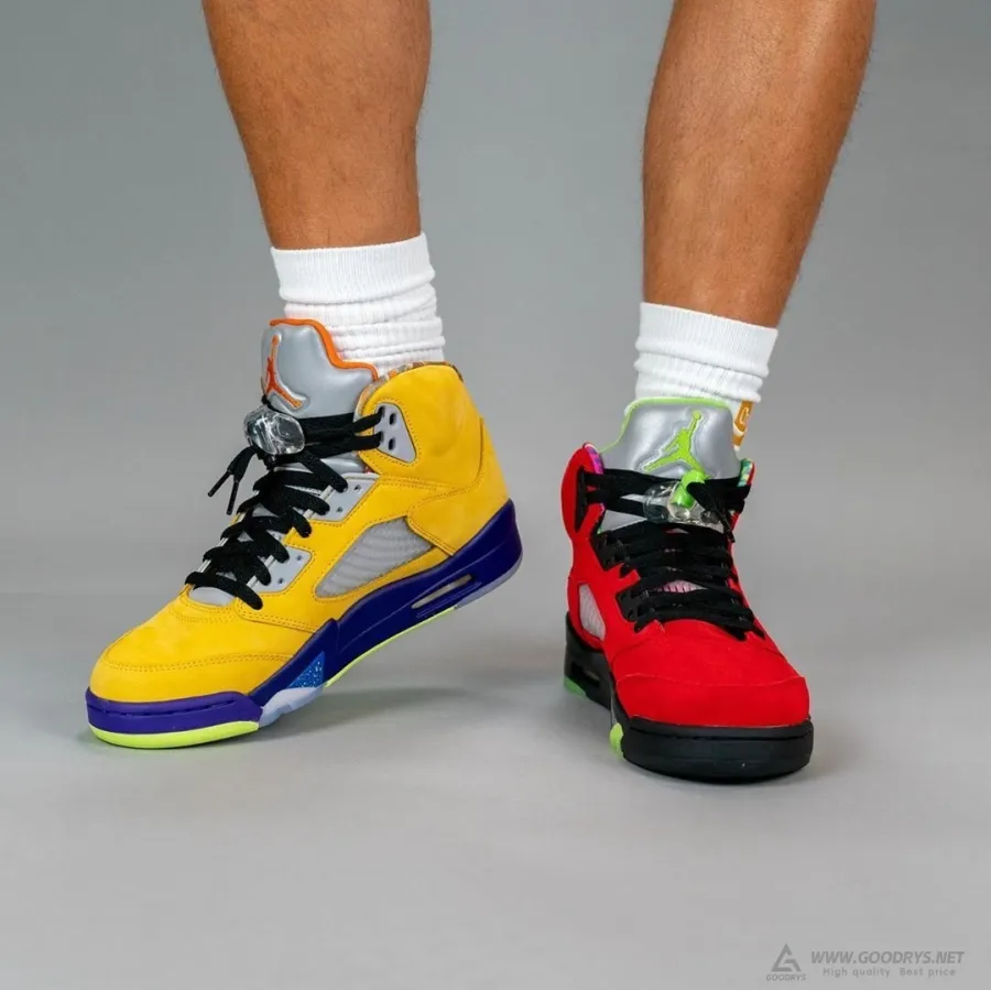 Air Jordan 5 What The